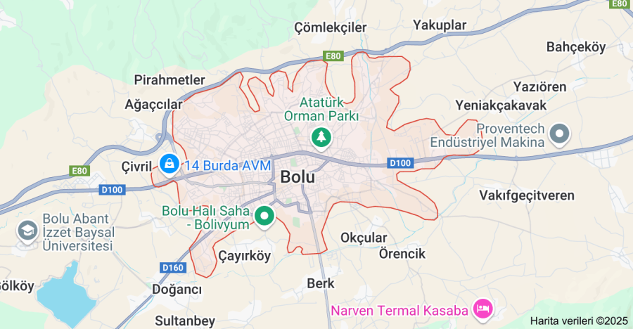Çiçekçi Sitesi Kur: Bolu'da Çiçek Satışına Başla