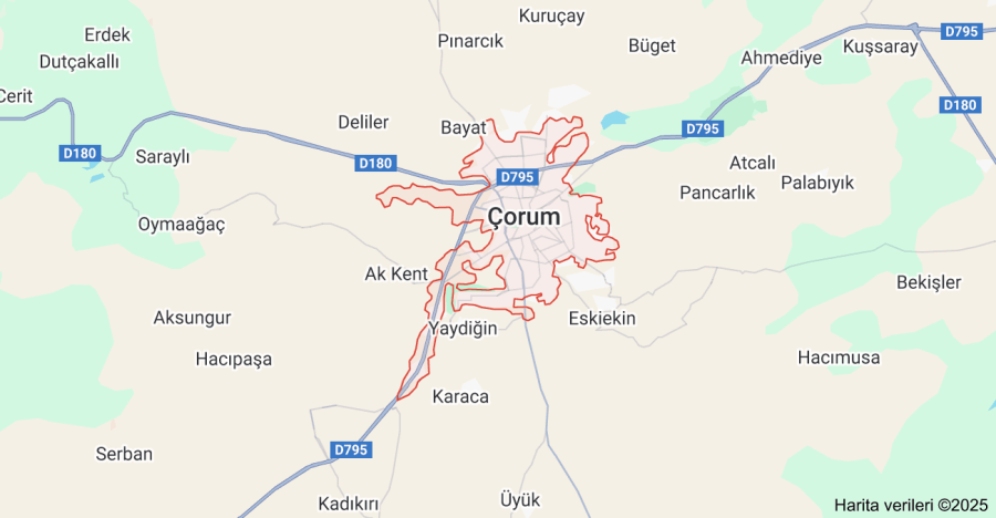 Çorum'da Çiçekçi Sitesi Kur: İşini Online'a Taşı
