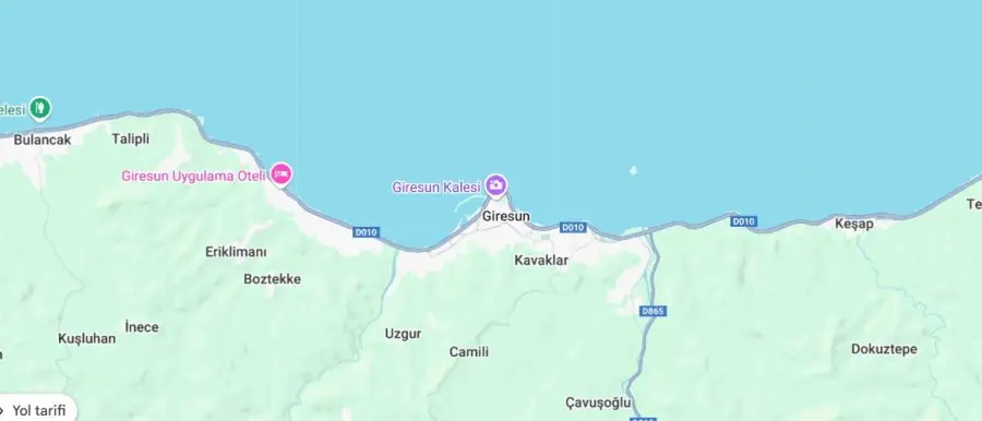 Giresun Çiçekçi Sitesi Yaptırmak